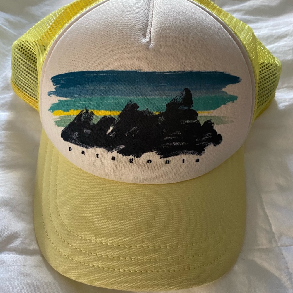 Patagonia trucker hat